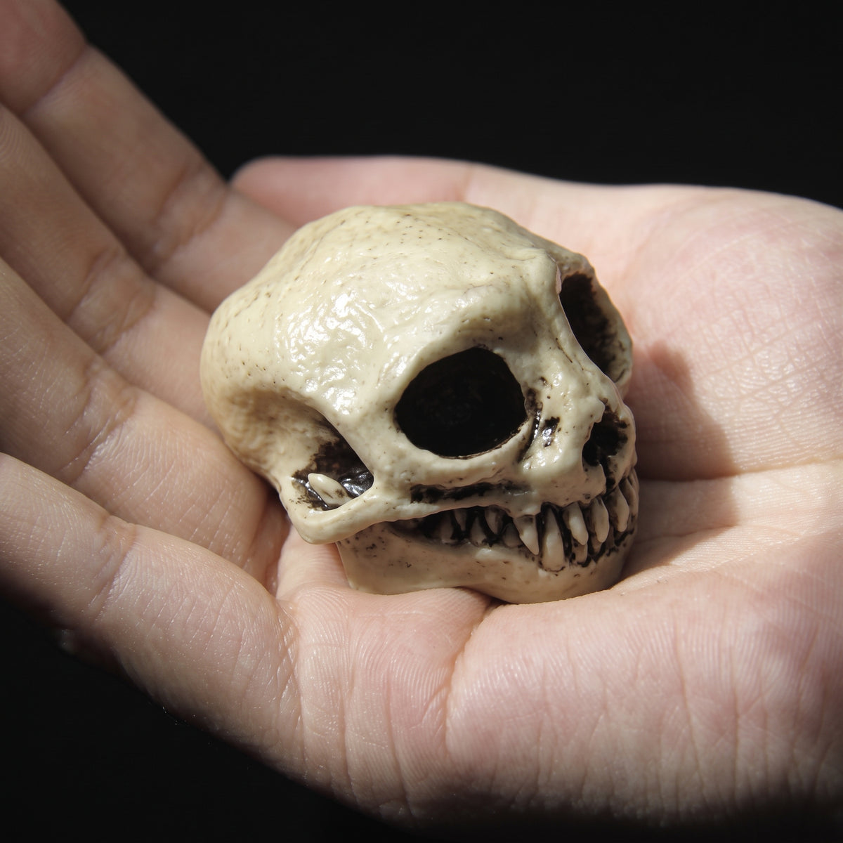 Ludesi Skull