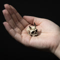 Mini Horned Skull