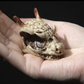Rost Skull