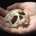 Dracula Skull
