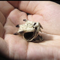 Manra Skull